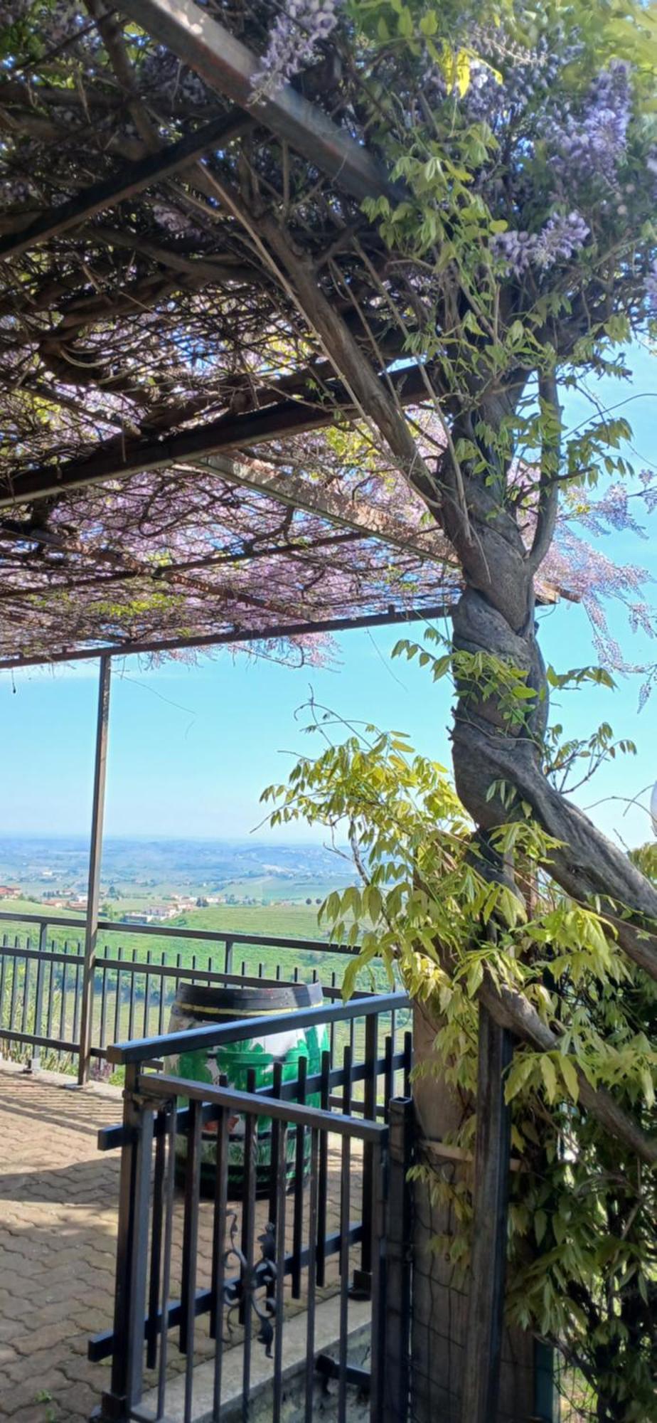 Casa Vacanza Il Colle Del Vento Calosso Exteriér fotografie